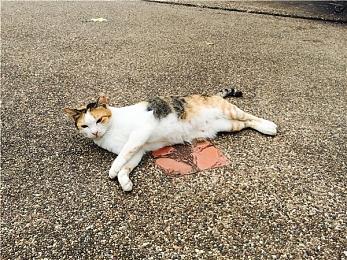 传闻：《战锤40K：星际战士2》不在2022年年内发售