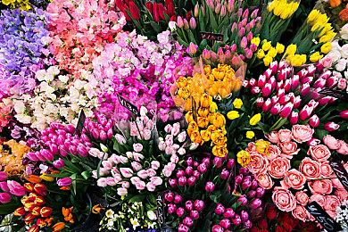 《龙之信条2》全新截图 酷帅战斗狂虐众多怪物